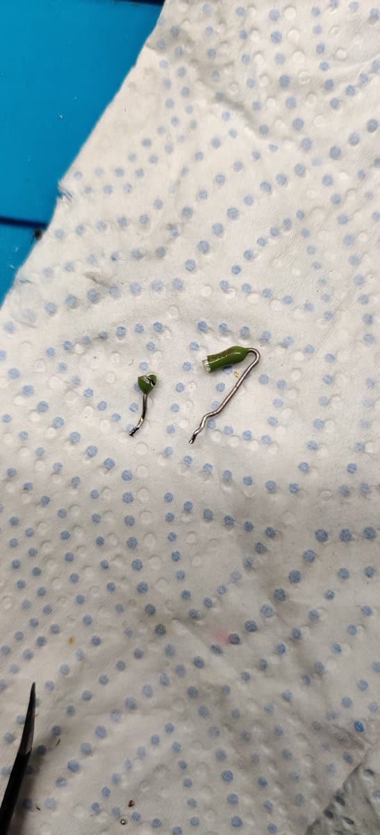 Two broken fuse fragments on polka-dotted paper towel next to tweezers; F301 fuse removed from Mega-CD 2 motherboard during repair.