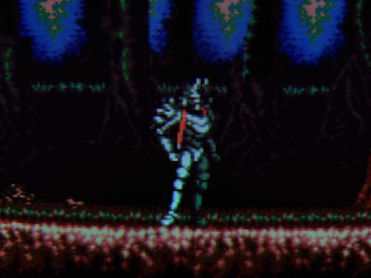 Castlevania IV displayed on restored Sony BVM-D14H1E showing vibrant scanlines, character sprite centered on screen with blue foliage above and brick floor below.